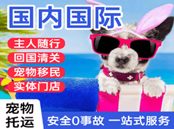 伊春航空邮寄国际宠物托运 【国